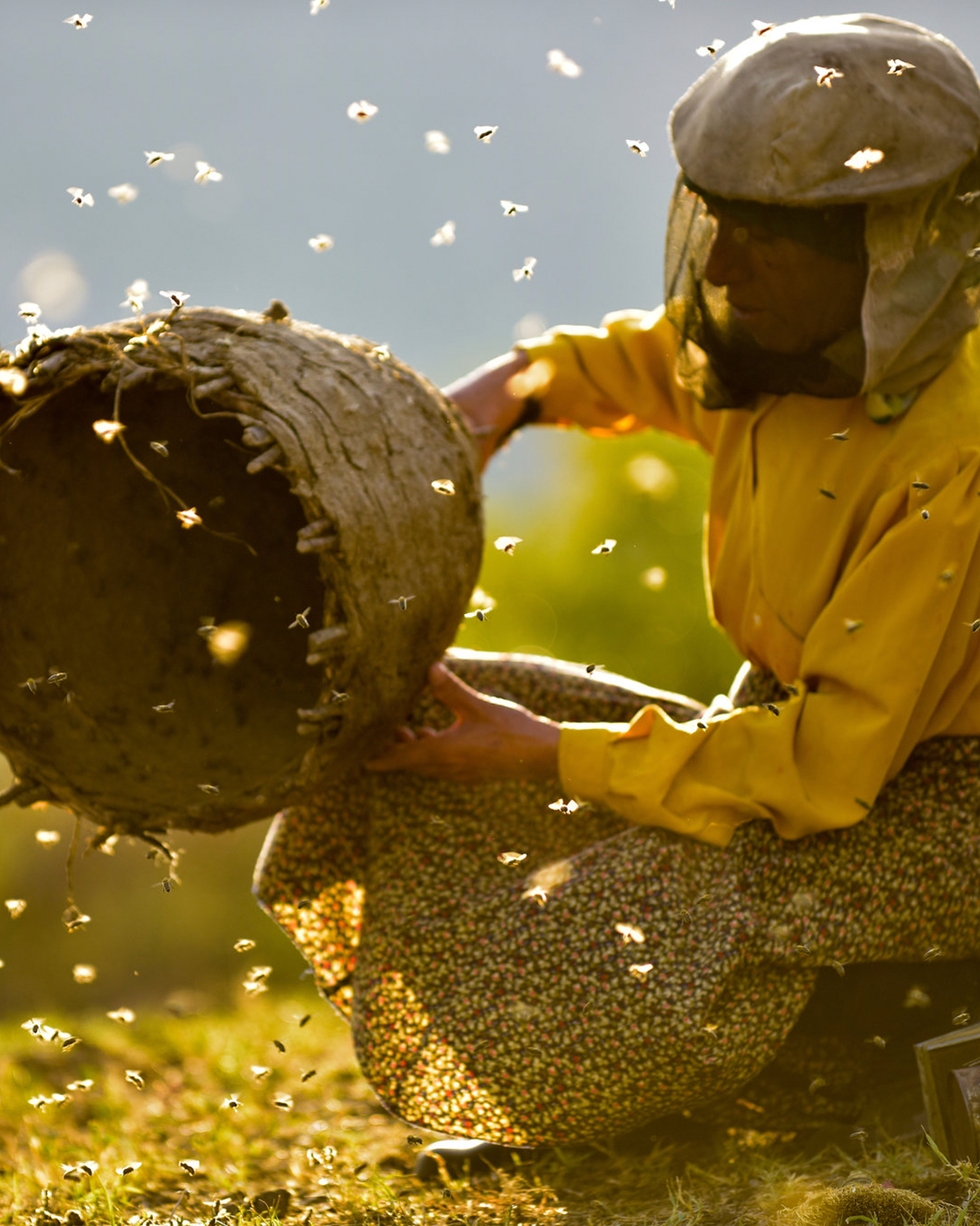 Film still of a beekeeper surrounded by bees in golden light